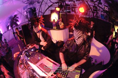 20100325_Ultra_Music_Festival_DHF_8216.jpg