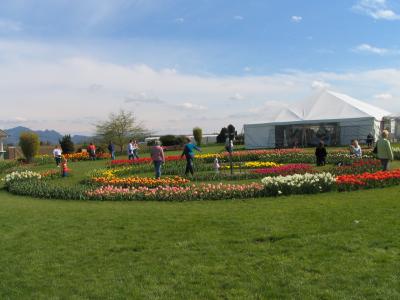IMG_1204.JPG