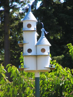 IMG_1545.JPG