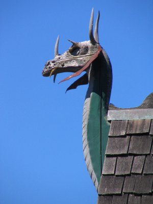 IMG_1551.JPG