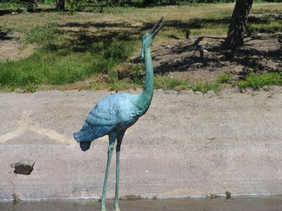 IMG_1554.JPG
