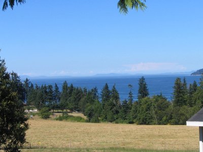 IMG_1564.JPG
