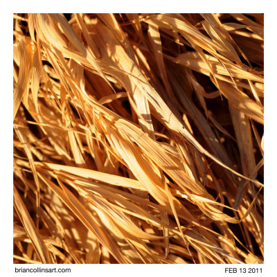 grass