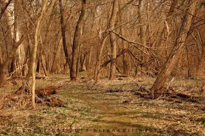 Fontenelle Forest