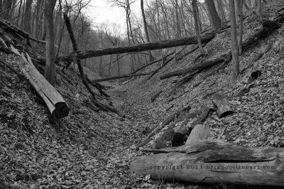 Fontenelle Forest