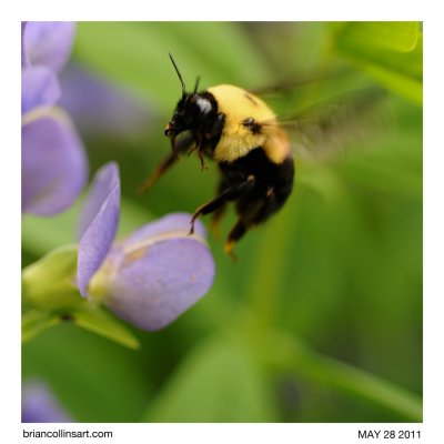 landing or taking off?