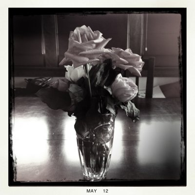 roses