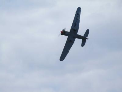 Yak-18 on the air.jpg