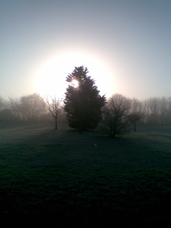 Frosty morning December