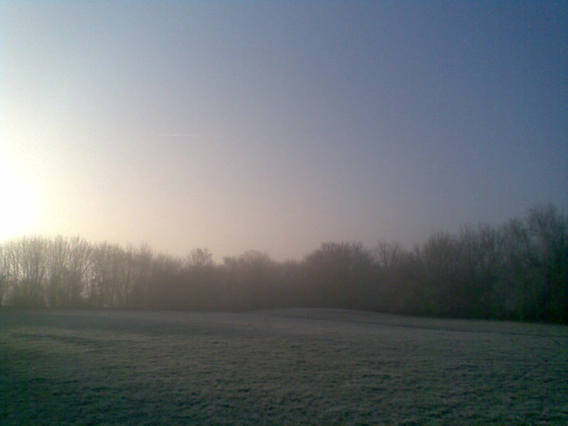 Frost-in the park