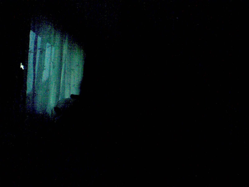 Image335.jpg