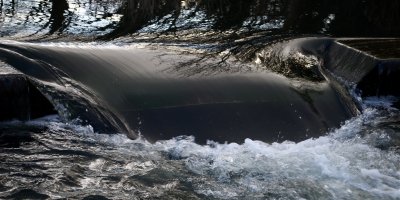 DSC_0481.jpg