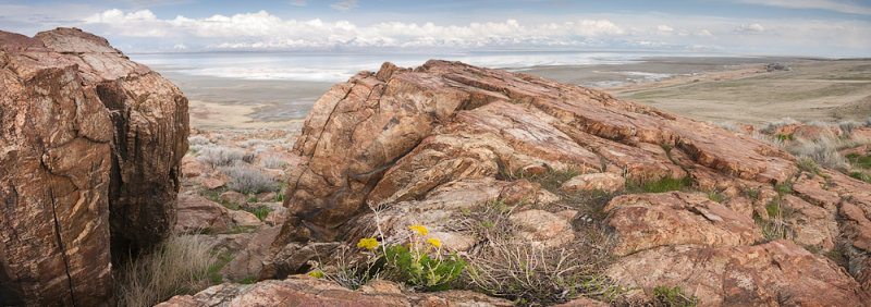Antelope Island panorama