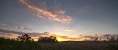 Big Cypress sunset