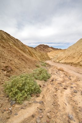 Golden canyon trail flow