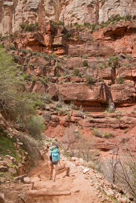 Trekking Brightangel Cliffs