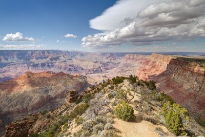 Desert View