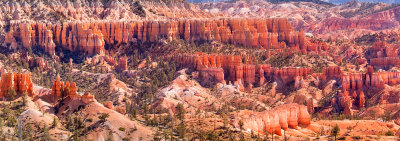 Bristlecone point details