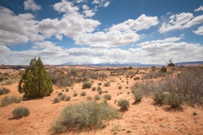 Arches la sal mountains viewpoint