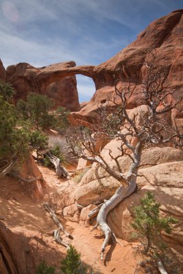 Double O Arch