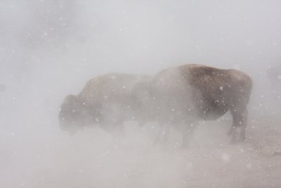 g4/44/660044/3/137713946.x3Ncp1aE.jpg