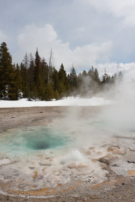 Geyser