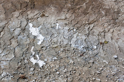 Cracked crust