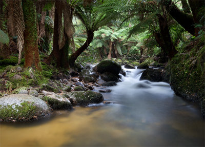 Cascades tasmania
