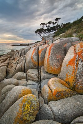 Bay of fires colours