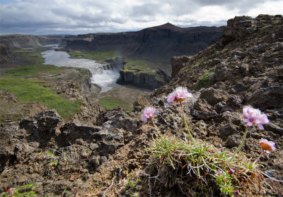 Dettifoss vista