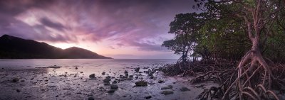 Cape tribulation sunset clouds mangrove