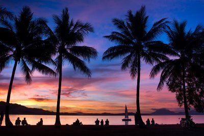 Anzac park palm trees sunset 