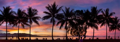 Port douglas sunset palm silhouette people