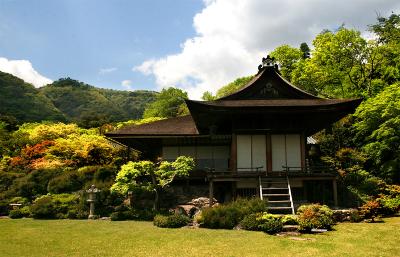 teahouse.jpg