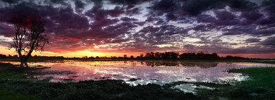 Sunset at Yellow Water