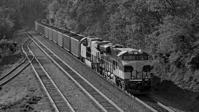 NS 8099