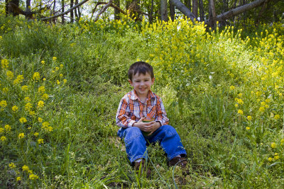 Carter in the Flowers