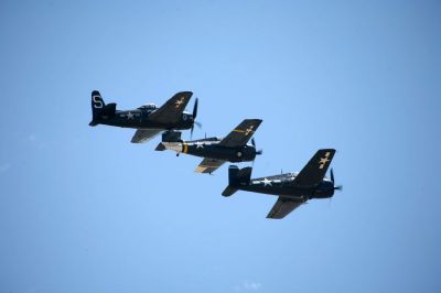 g4/44/671944/3/63761711.mICr4sjG.jpg