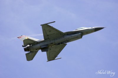 F-16 Solo Demo
