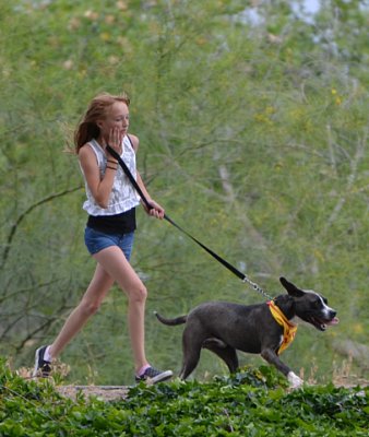 Dog Rescue Charity Run - Nikon D200.jpg