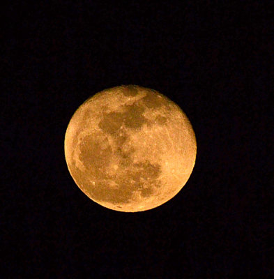 Moon (Hand Held) - Nikon D3100.jpg