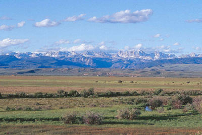Rocky Mountain Range in Wyo - Minolta 7HI.jpg