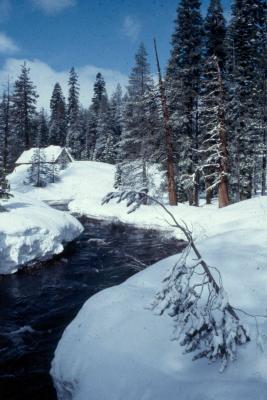 Sierra Winter off I-80 in Calif- Canon AE1.jpg