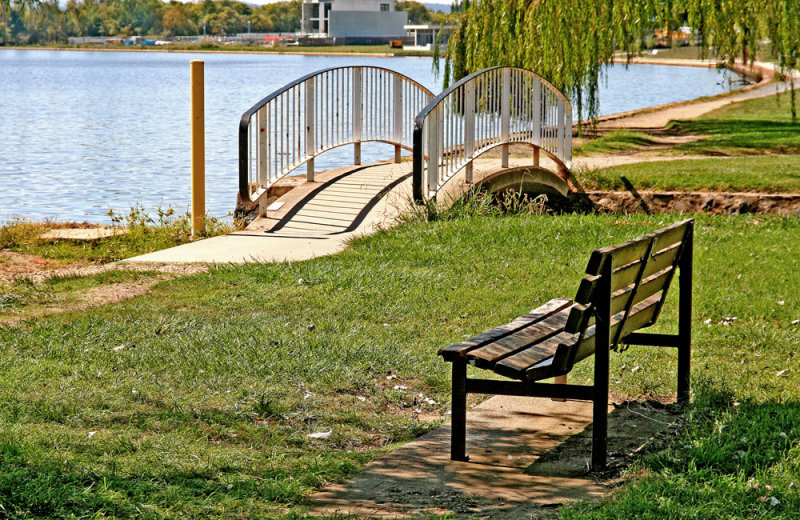 Scenic Seat