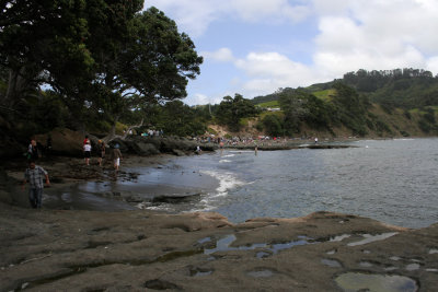 Goat Island - East Coast, North Island, New Zealand