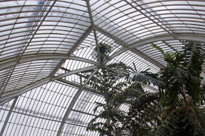 palm house roof.jpg