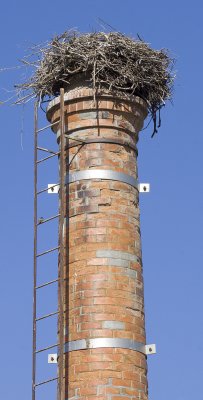 stork chimney Lagos centre.jpg