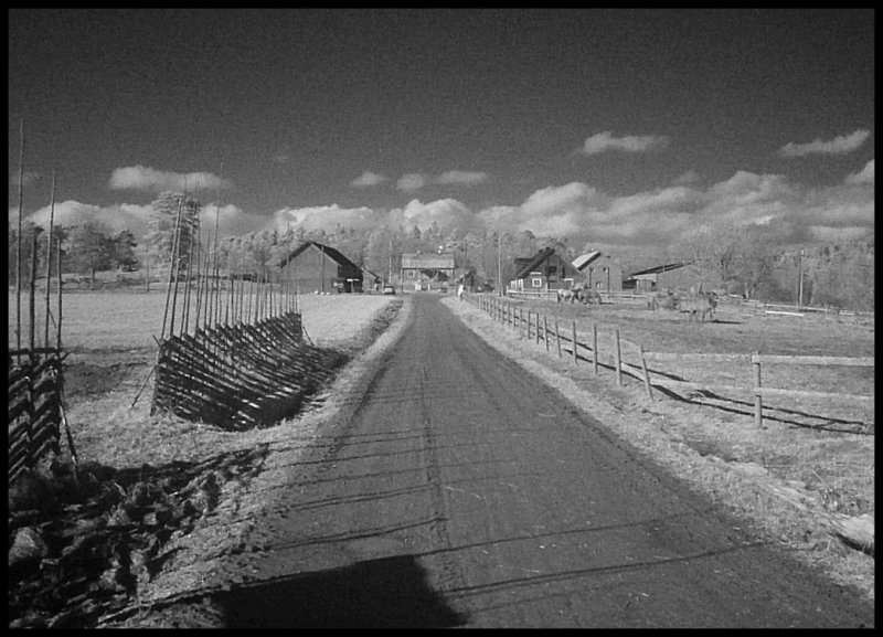 DSCF0918 Bgs Grd Infrared filter.jpg