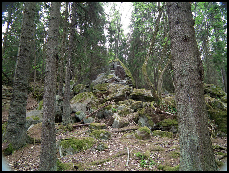 DSCF3572 Rocks in Judarskogen.jpg