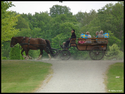 DSCF6710 Hst och vagn Drottningholm.jpg